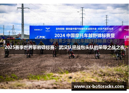 2025赛季世界攀岩锦标赛：武汉队迎战包头队的荣辱之战之夜